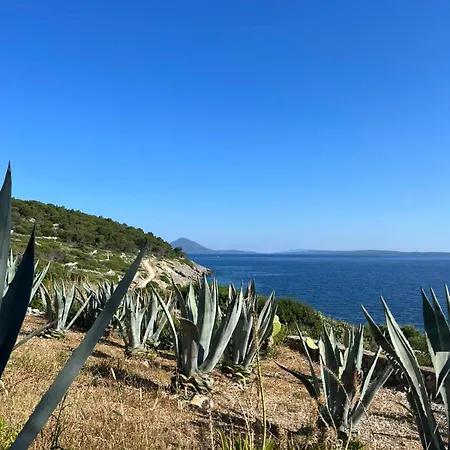 Casa Del Mar *