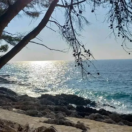 Casa Del Mar